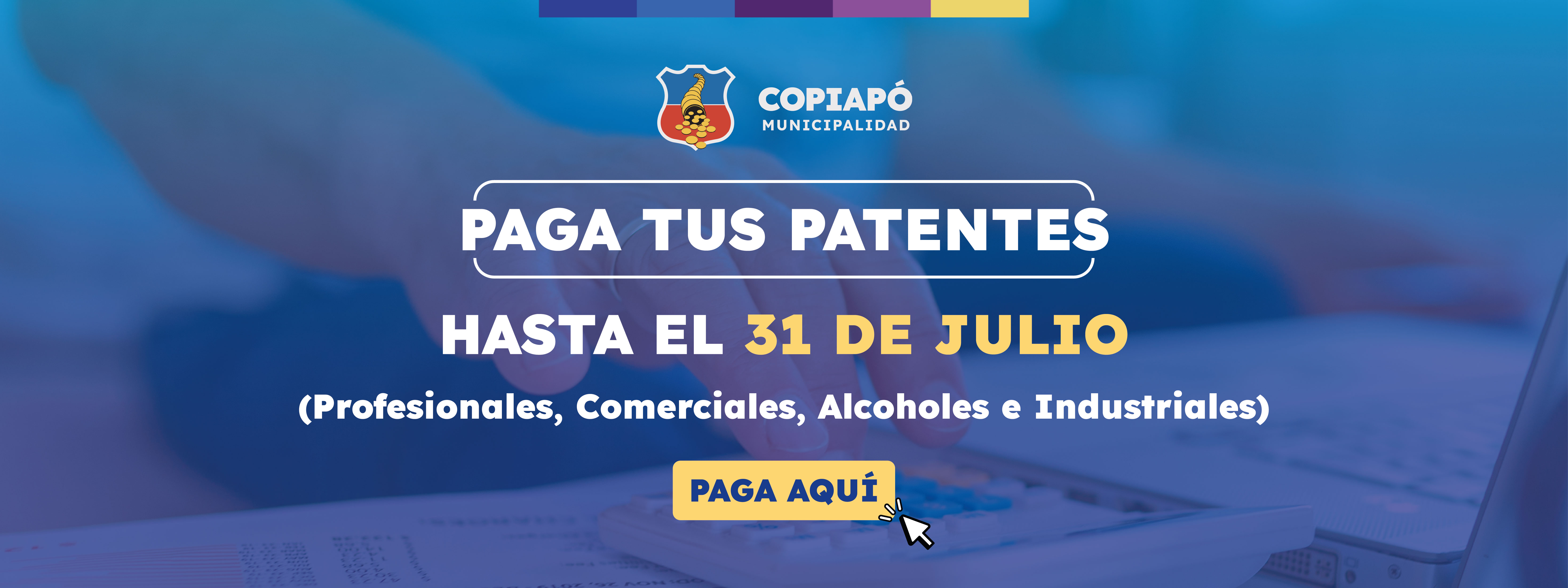 PAGO PATENTES